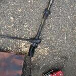 PXL 20210523 154100282