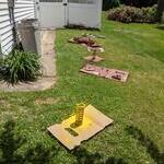 PXL 20210531 173324689