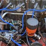 PXL 20221006 142938721