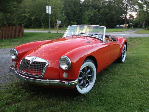 Monkberry Peter Jarzynka