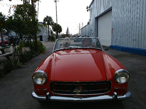 TcjMiami Thomas Johnson