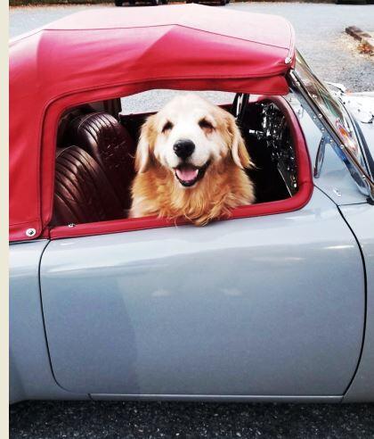 Don MGA 1600 Don Tremblay