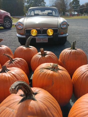 RestorerMG Bill Schultz