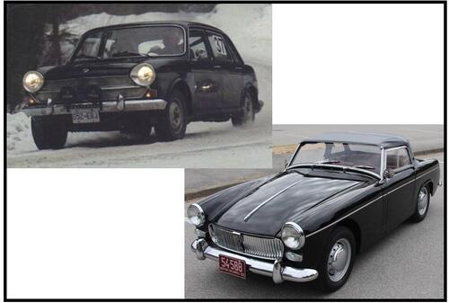 landcrab Martin Strange