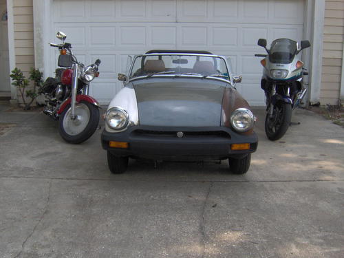 Steve in Florida Steve Hill